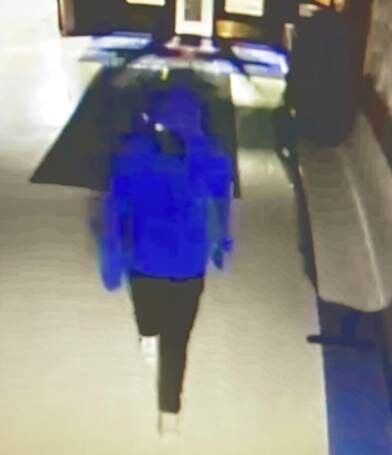 Grandview Elementary School burglary suspect